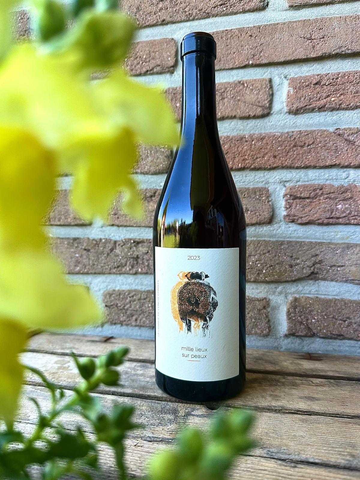 Sélection de vins naturels chez Lära Concept Store