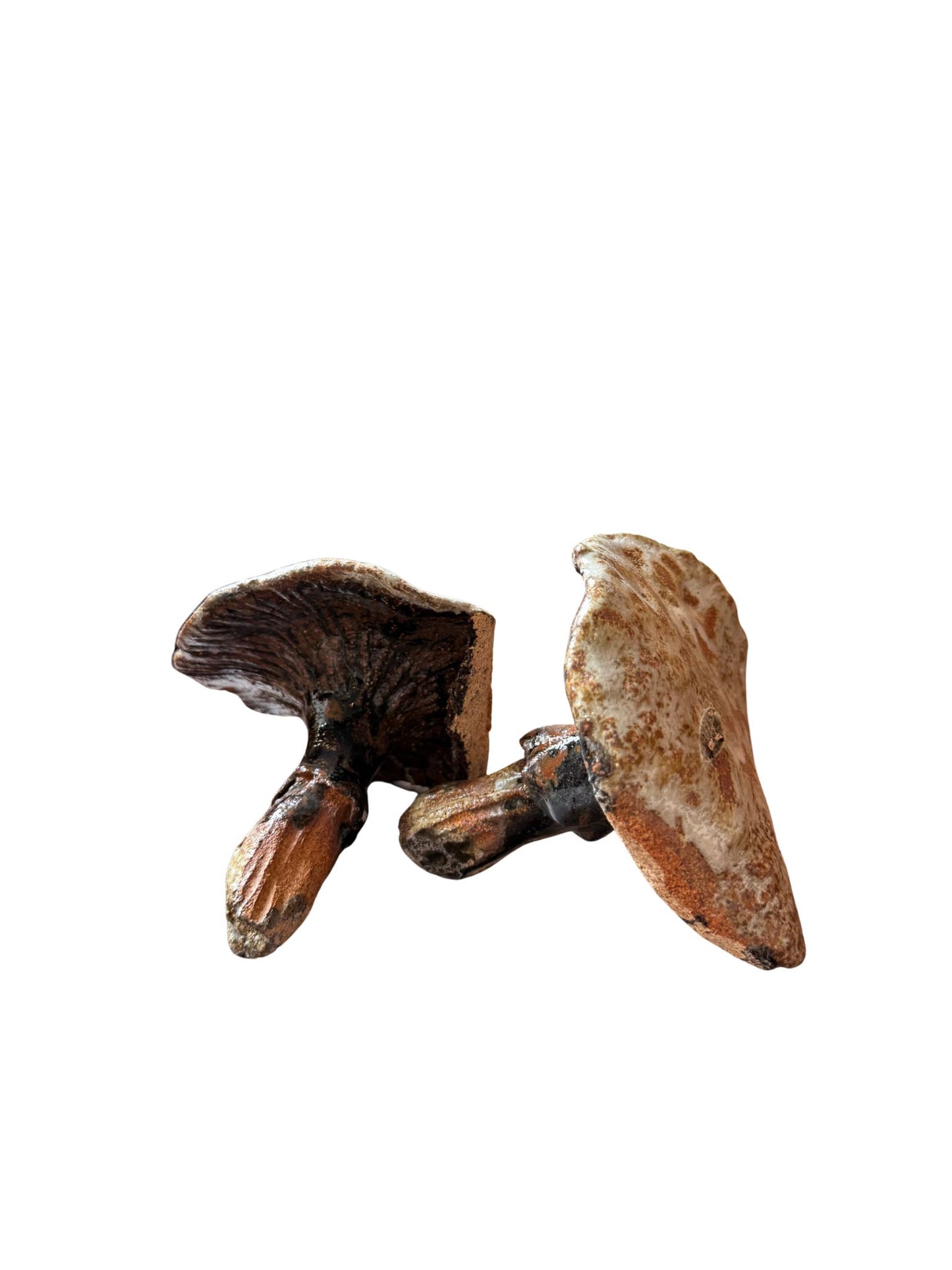 Champignon en céramique